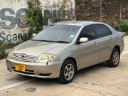 Toyota Corolla 2004 Beige for sale
