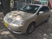 Toyota Allex 2003 Gold for sale