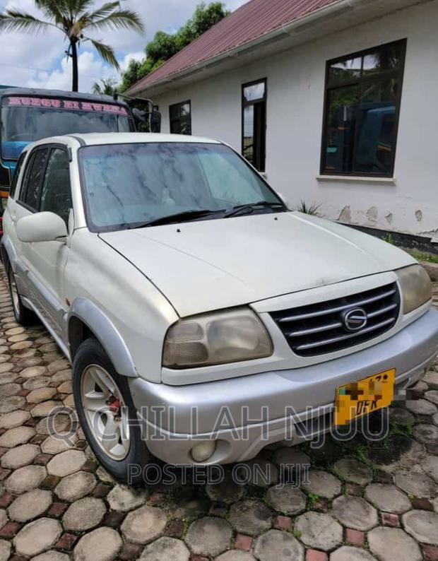 Suzuki TL 2002 Silver