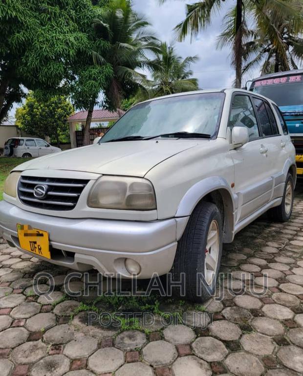 Suzuki TL 2002 Silver