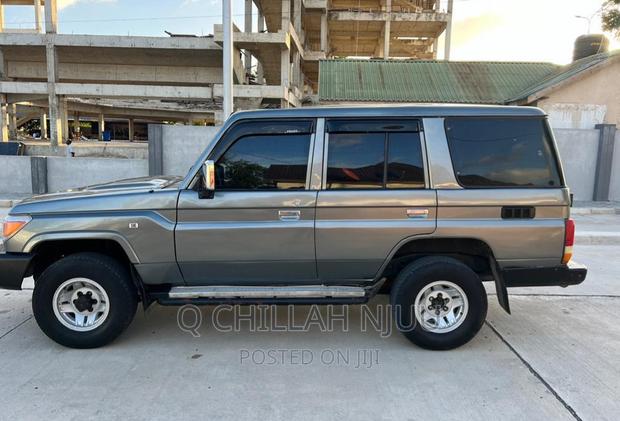 Toyota Land Cruiser 1995 Gray