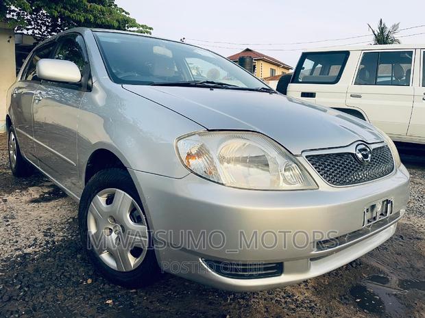 Toyota Corolla RunX 2003 Silver