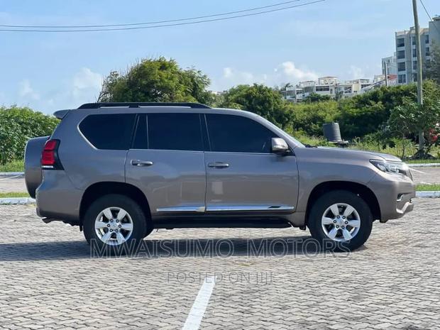 Toyota Land Cruiser Prado 2010 Gray