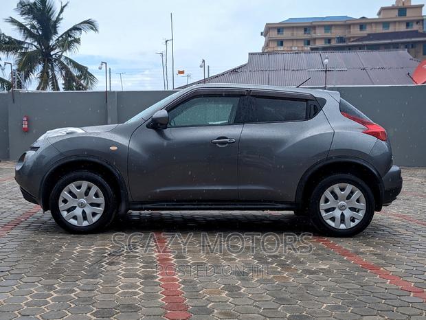 Nissan Juke 2011 Gray
