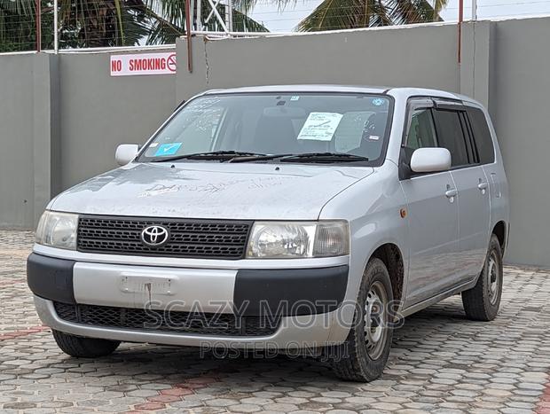 Toyota Probox 2009 Silver