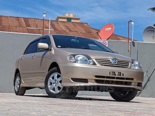 Toyota Allex 2002 Gold