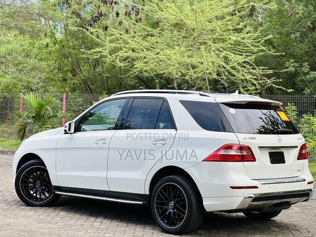 Mercedes-Benz M Class 2013 Pearl