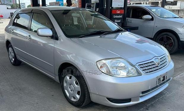 Toyota Allex 2001 Silver