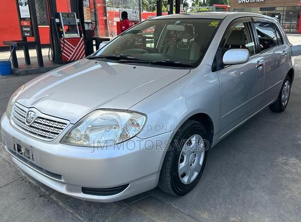 Toyota Allex 2001 Silver