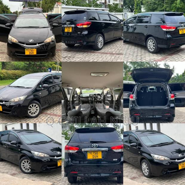 Toyota Wish 2009 Black