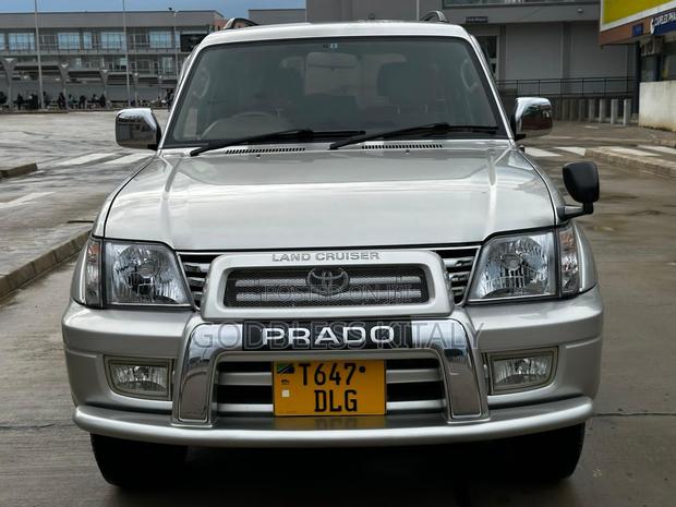 Toyota Land Cruiser 2002 Silver