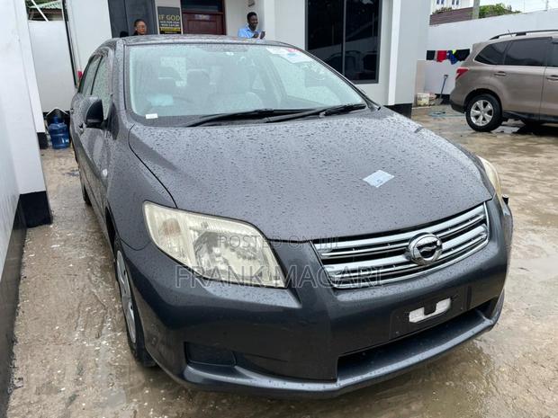 Toyota Axio 1.5 G 2WD 2008 Gray