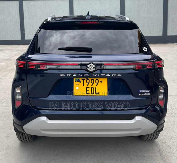 Suzuki Grand Vitara 2024 Blue