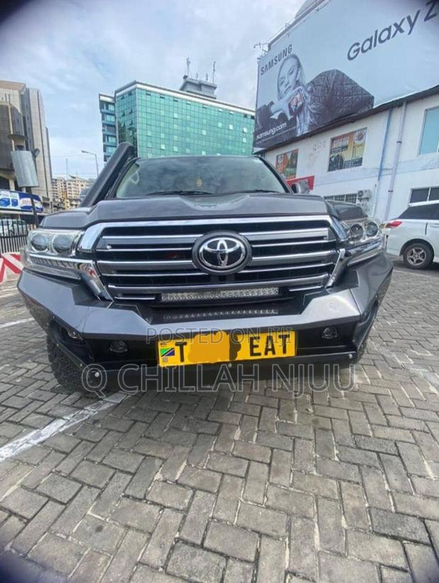 Toyota Land Cruiser 2010 Gray