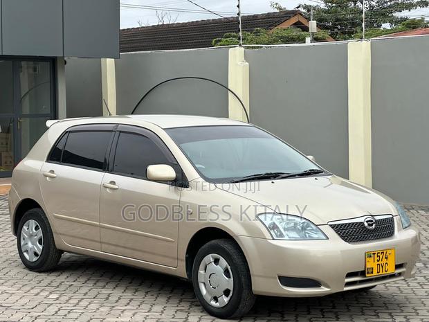 Toyota Corolla RunX 2004 Gold