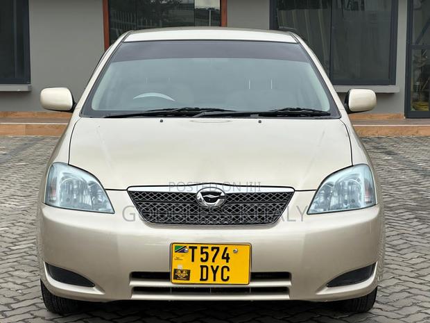 Toyota Corolla RunX 2004 Gold
