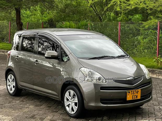 Toyota Ractis 2006 Gray