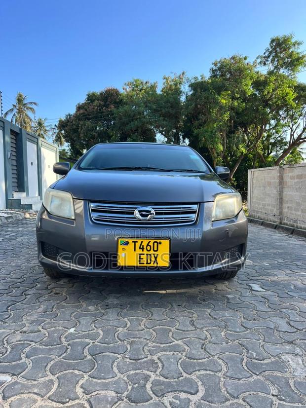Toyota Axio 2007 Gray