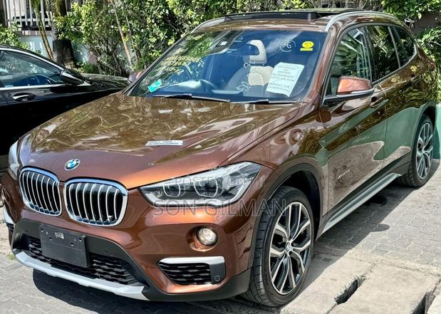 BMW X1 2017 Brown