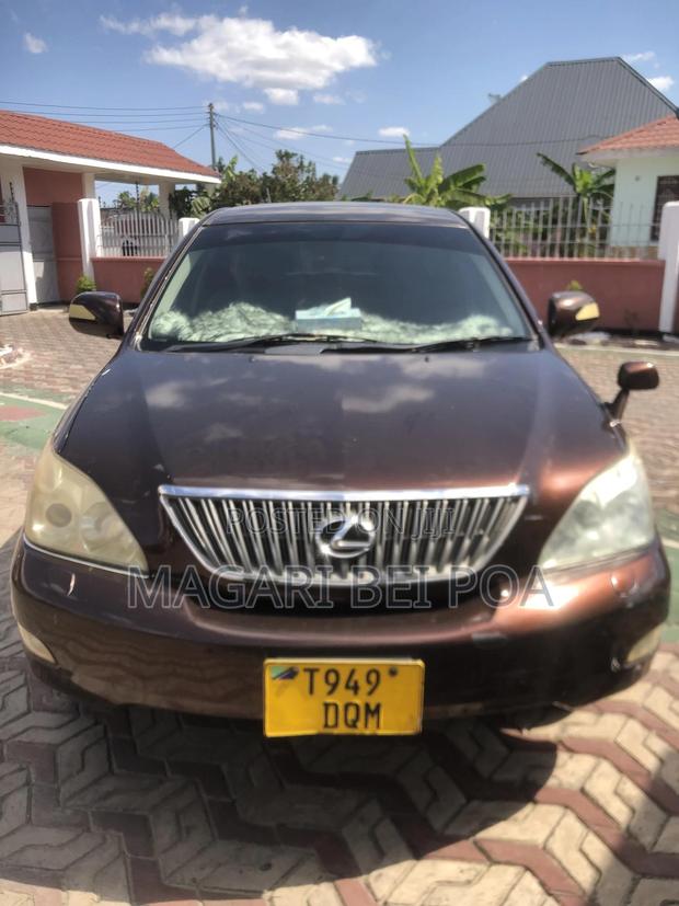 Lexus RX 330 2006 Brown