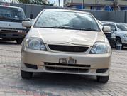 Toyota Corolla RunX 2004 Gold for sale