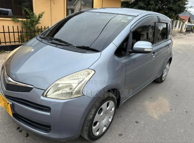 Toyota Ractis 2007 Gray