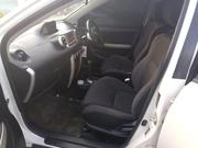 Toyota IST 2003 Off white for sale