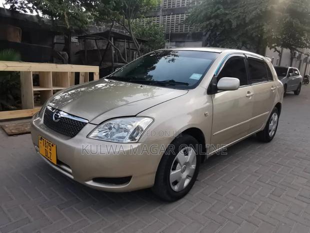 Toyota Allex 2004 Silver