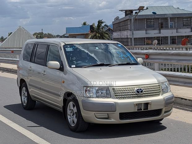 Toyota Succeed 2006 Gold