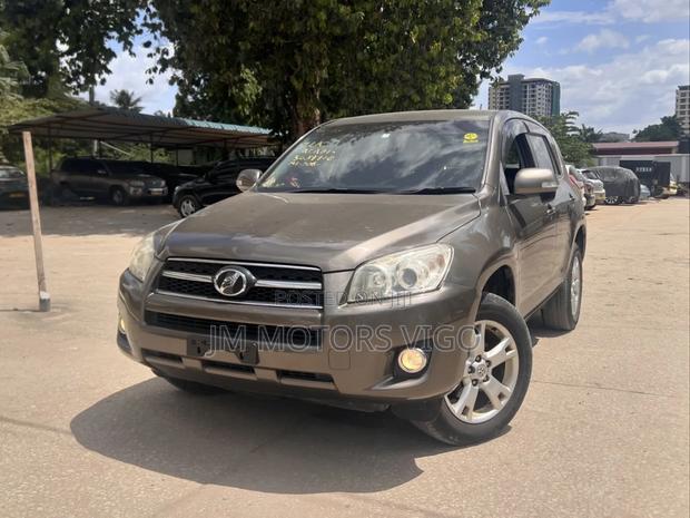 Toyota RAV4 2008 Brown