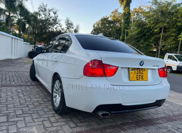 BMW 3 Series 2010 White