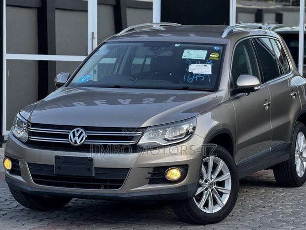 Volkswagen Tiguan 2012 Beige