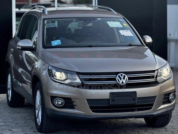 Volkswagen Tiguan 2012 Beige