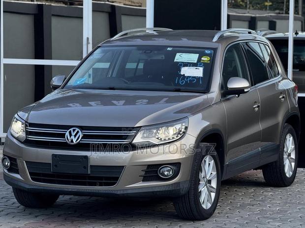 Volkswagen Tiguan 2012 Beige