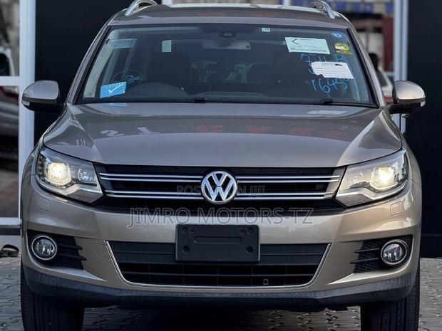 Volkswagen Tiguan 2012 Beige