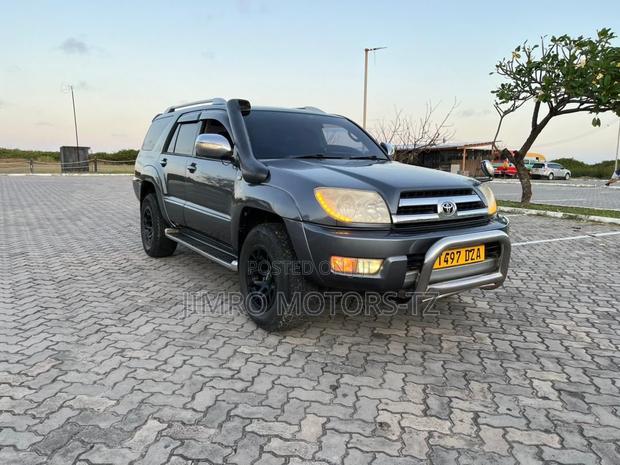 Toyota Hilux Surf 2002 Gray