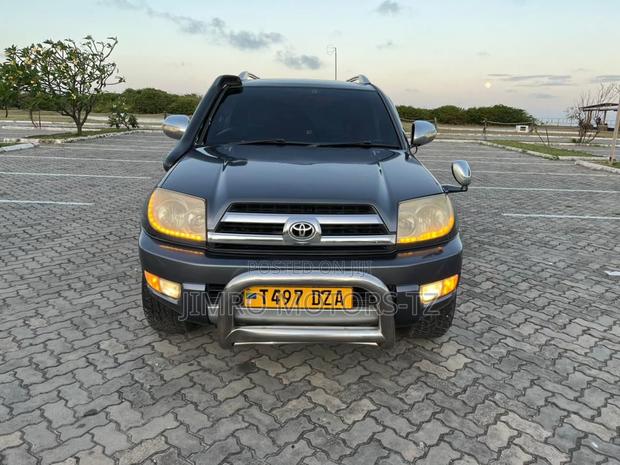Toyota Hilux Surf 2002 Gray