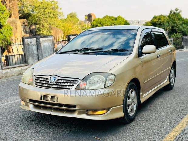 Toyota Allex 2004 Gold