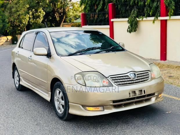 Toyota Allex 2004 Gold