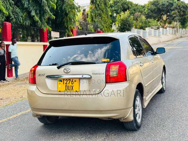 Toyota Allex 2004 Gold