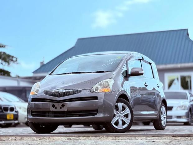 Toyota Ractis 2009 Gray
