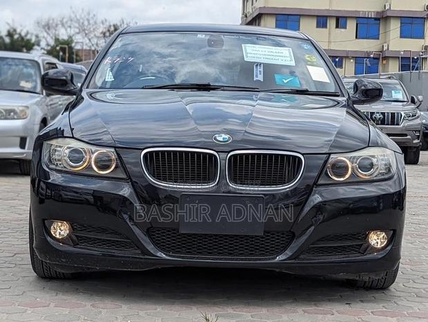 BMW 3 Series 320i RWD 2010 Matt Black