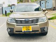 Subaru Forester 2010 Gold for sale