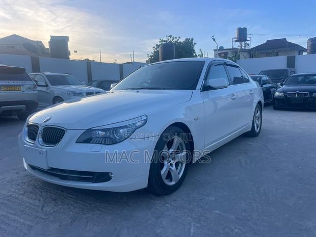 BMW 5 Series 2010 White