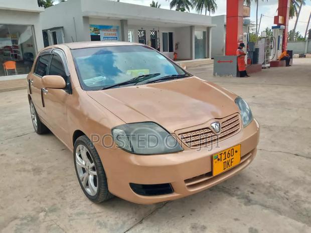 Toyota Allex 2004 Orange