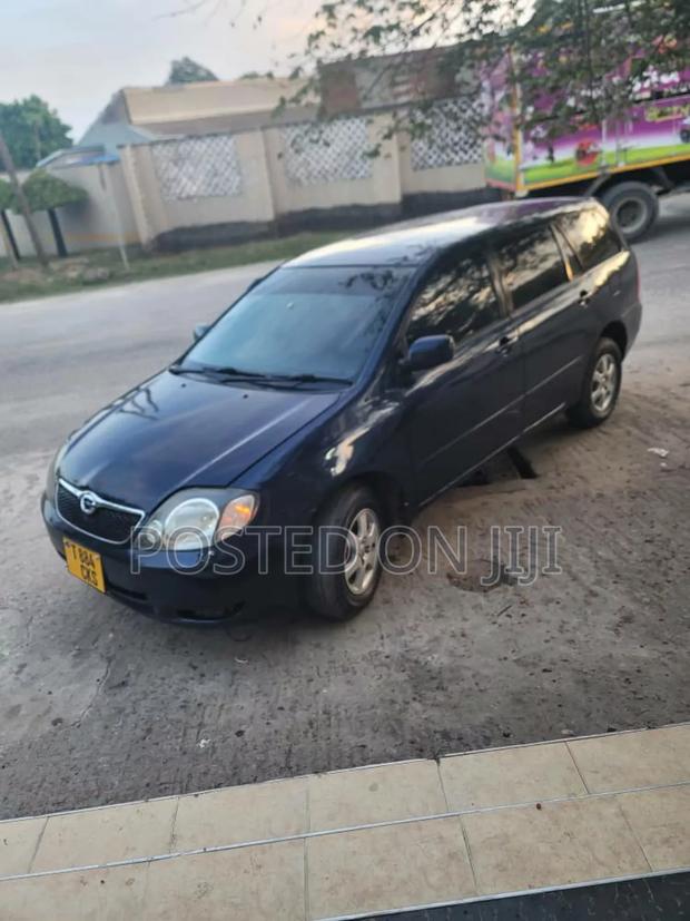 Toyota Corolla Fielder 2003 Blue