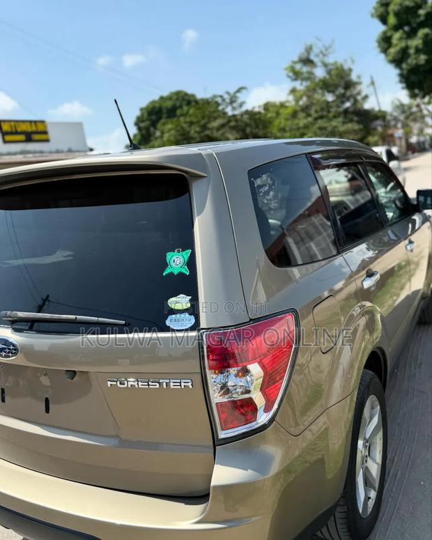 Subaru Forester 2010 Gray