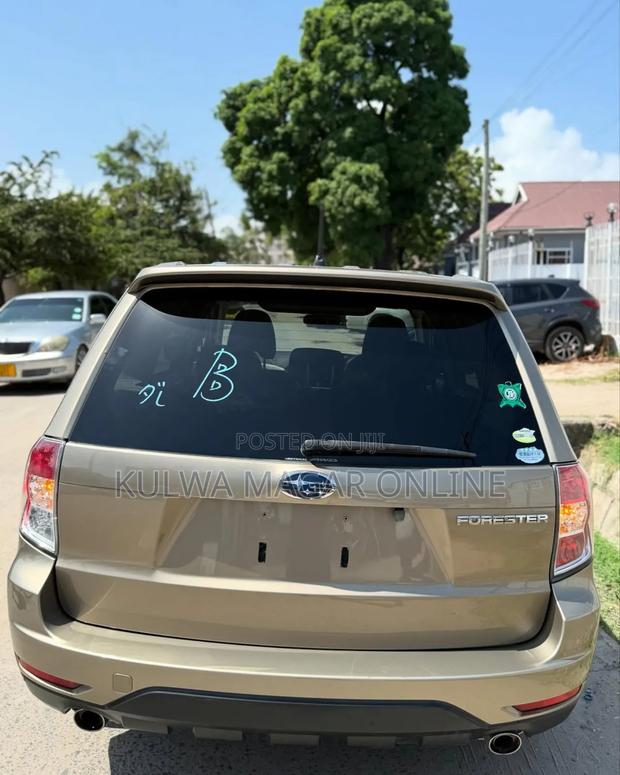 Subaru Forester 2010 Gray