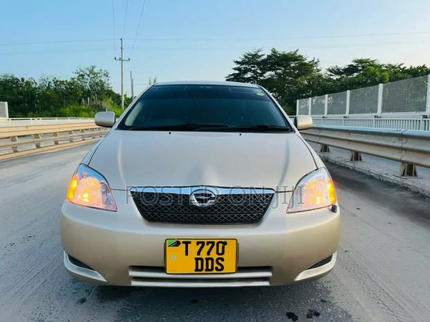 Toyota Corolla RunX 2005 Gold