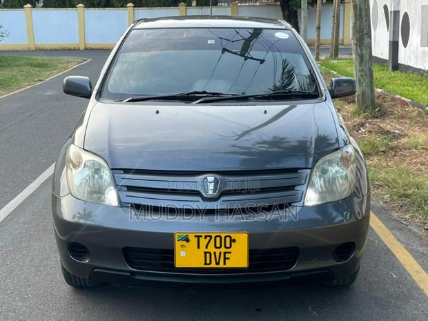 Toyota IST 2005 Gray